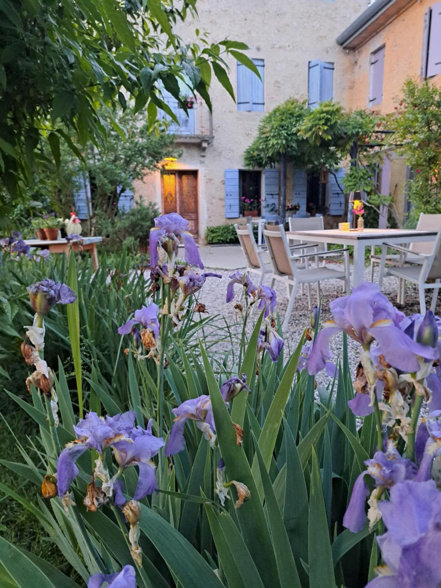 Casadesergio Refrontolo Εξωτερικό φωτογραφία