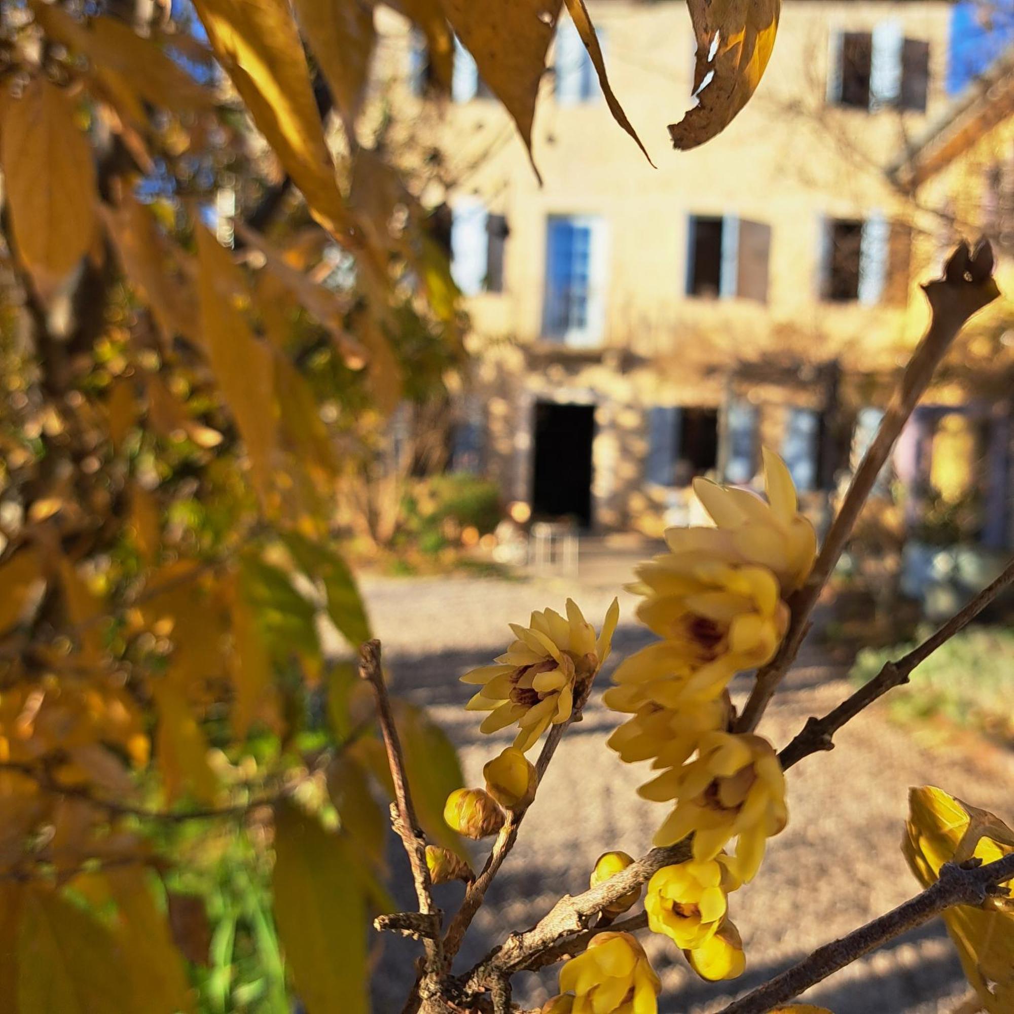 Casadesergio Refrontolo Εξωτερικό φωτογραφία