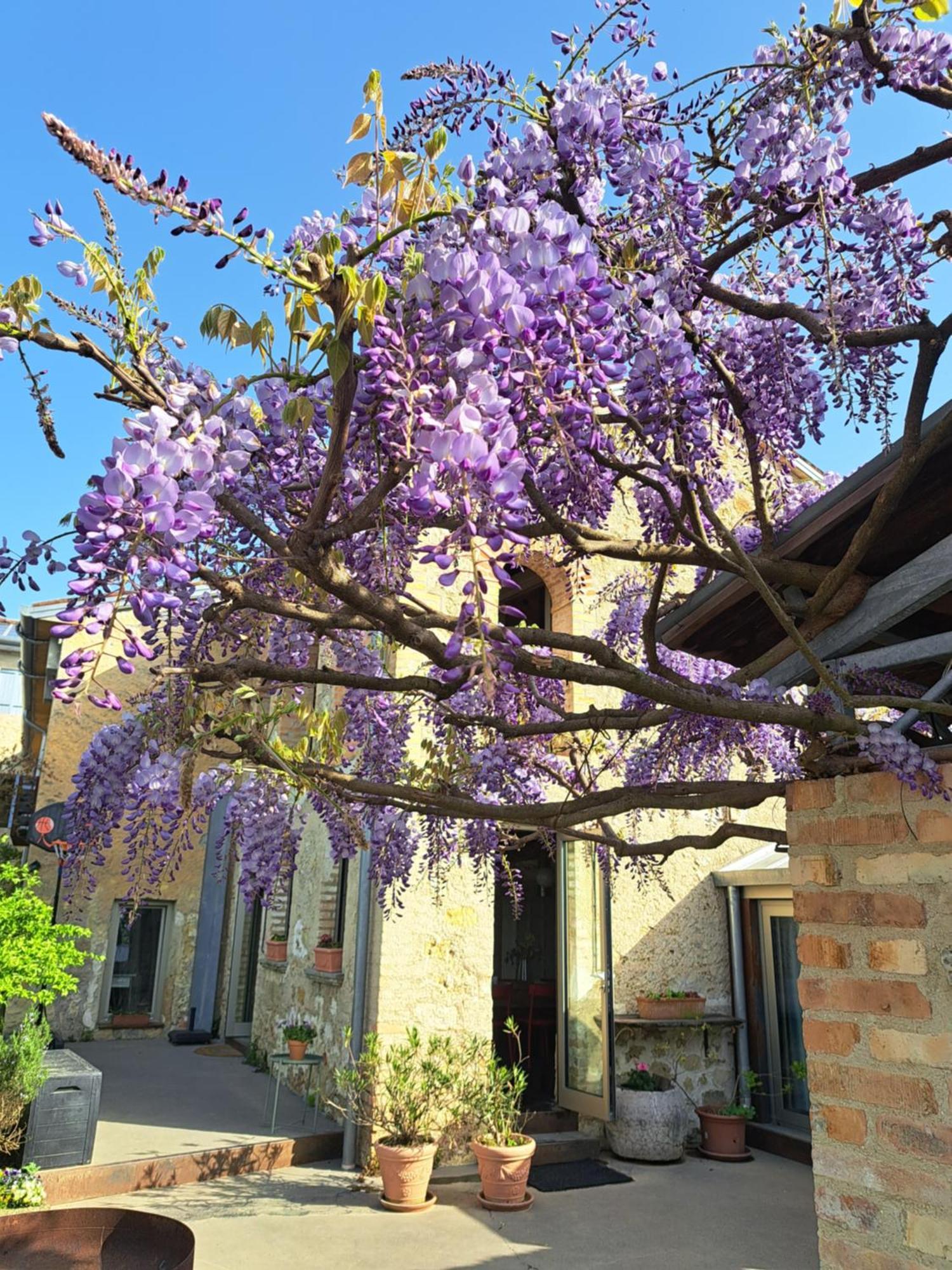 Casadesergio Refrontolo Εξωτερικό φωτογραφία