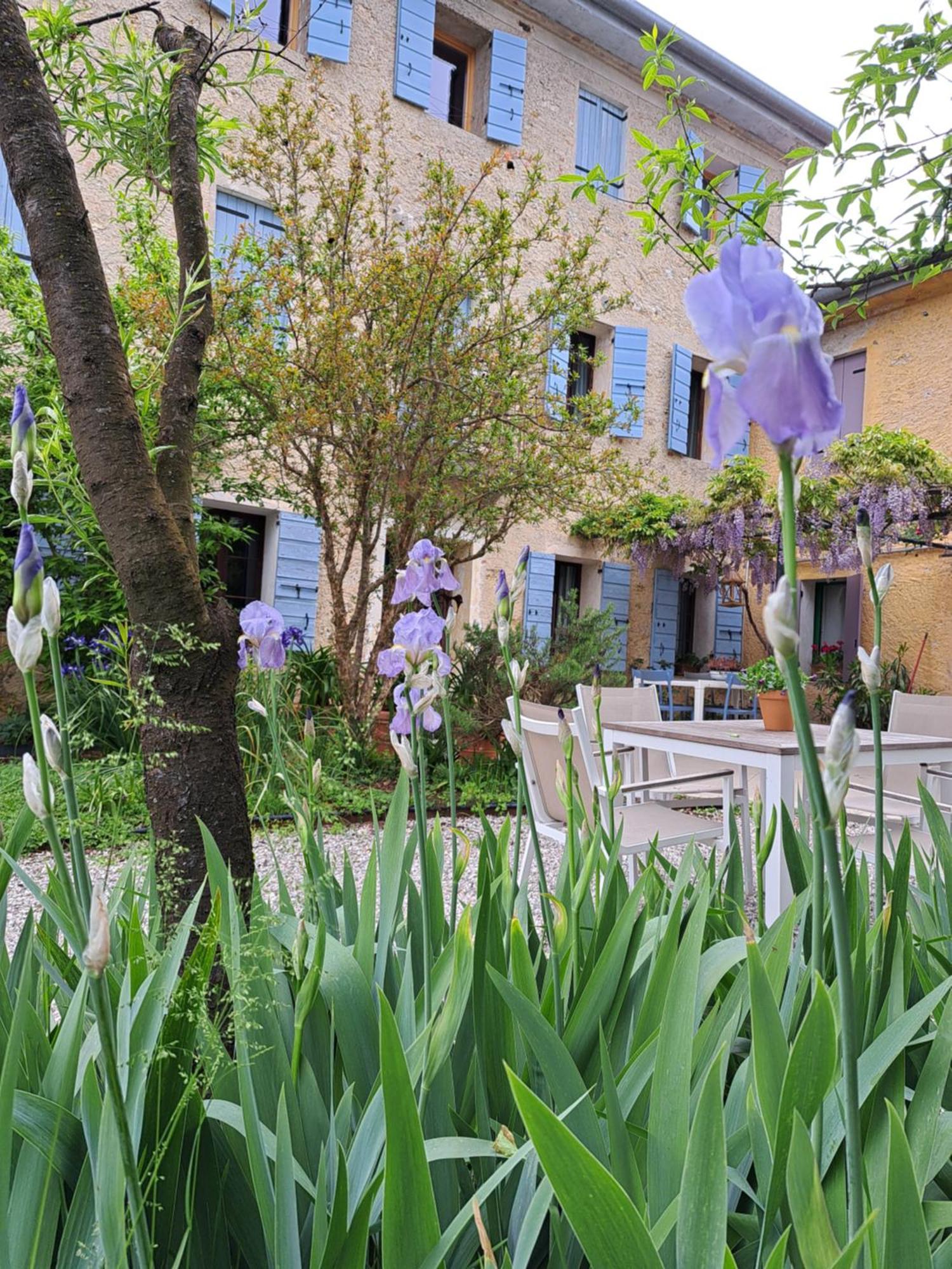 Casadesergio Refrontolo Εξωτερικό φωτογραφία