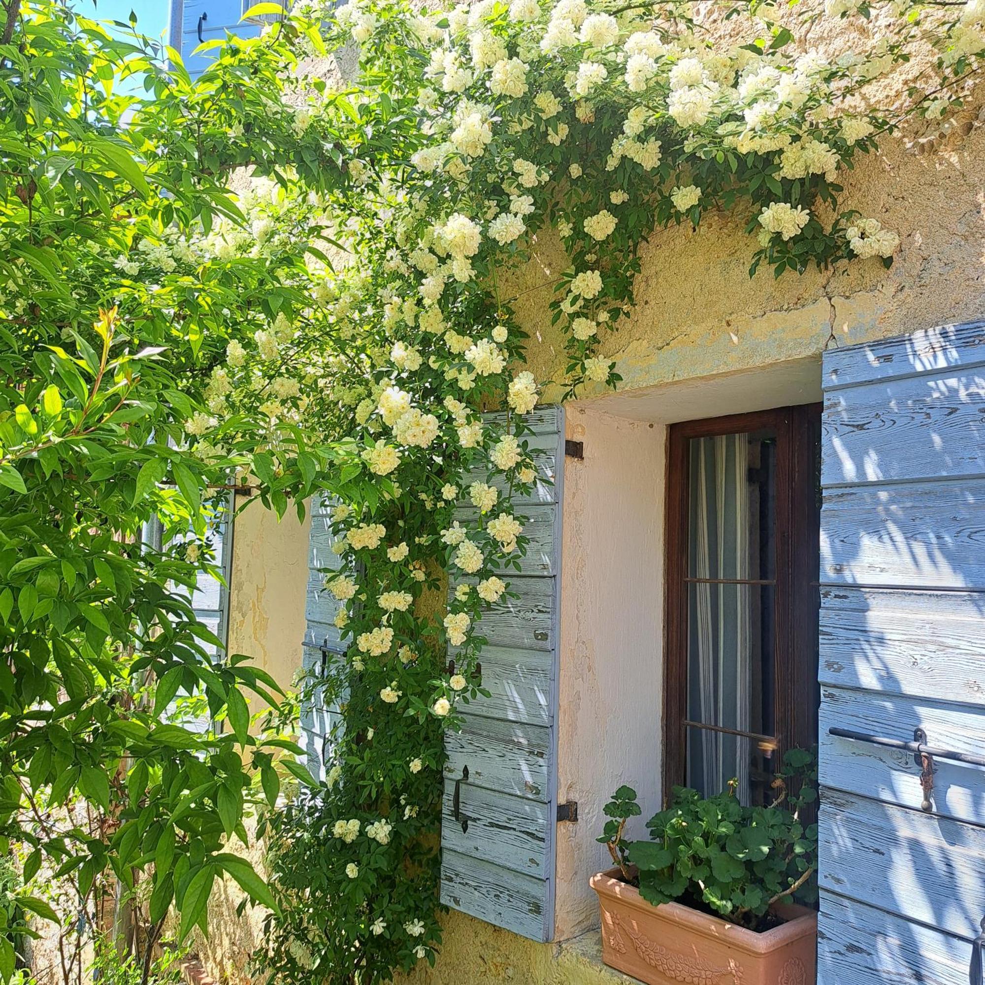 Casadesergio Refrontolo Εξωτερικό φωτογραφία