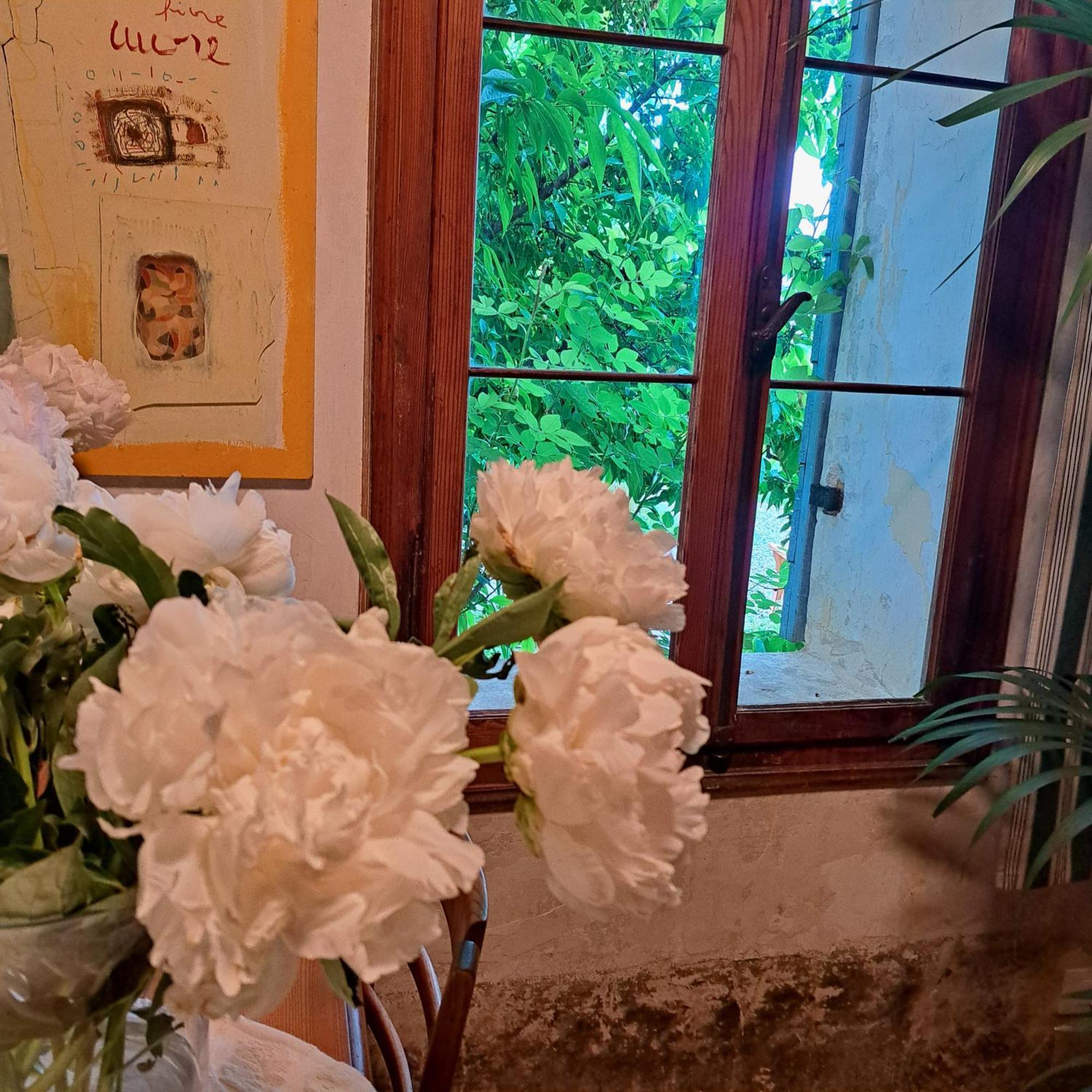 Casadesergio Refrontolo Εξωτερικό φωτογραφία