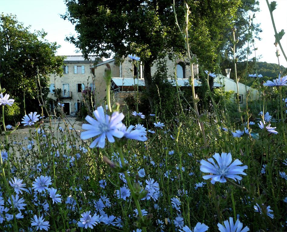 Casadesergio Refrontolo Εξωτερικό φωτογραφία